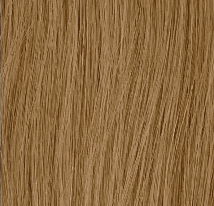 Sensationnel Premium Now HH French Wave Wvg 14" / 16"